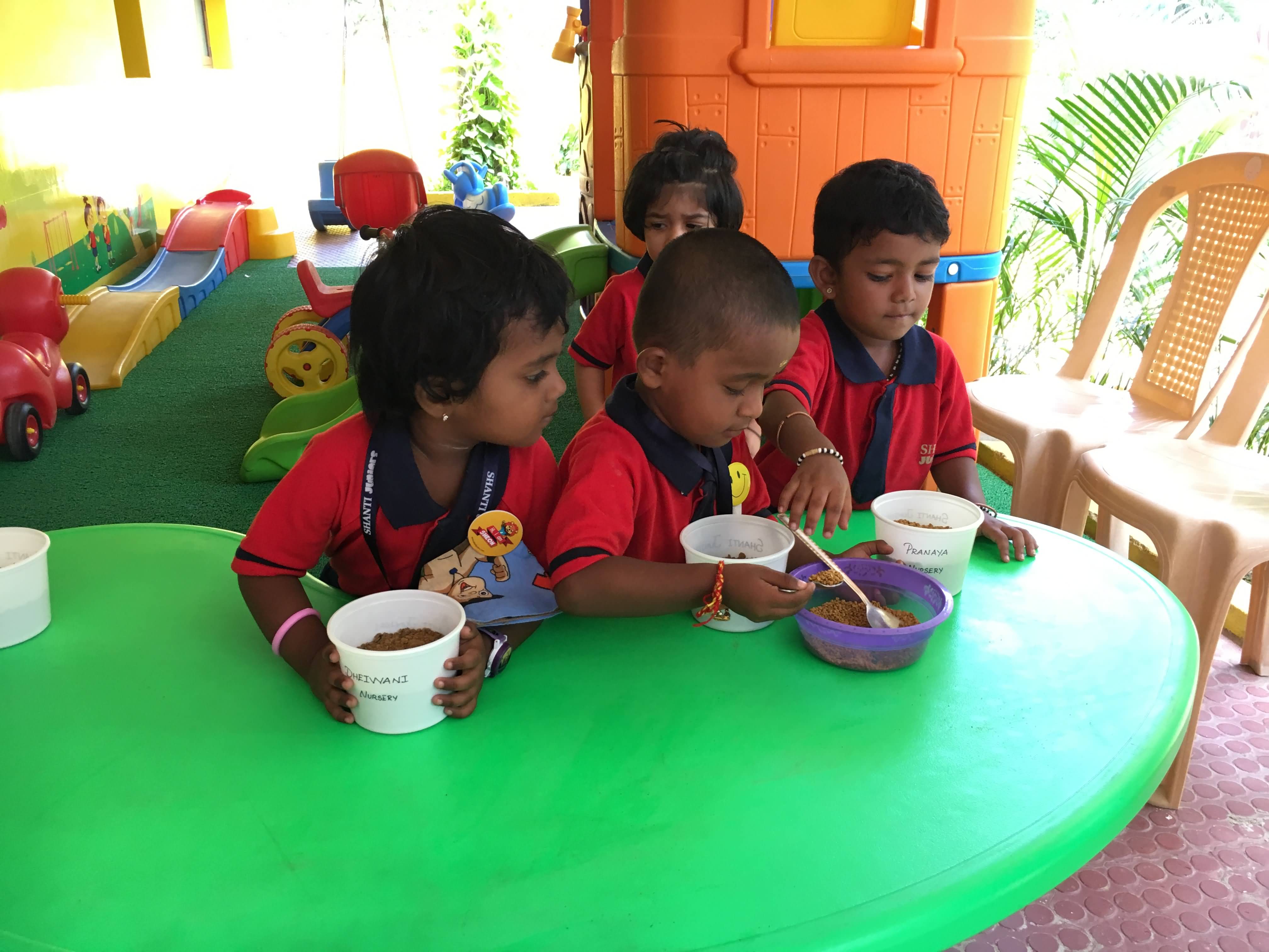 shanti juniors pre school gallery14