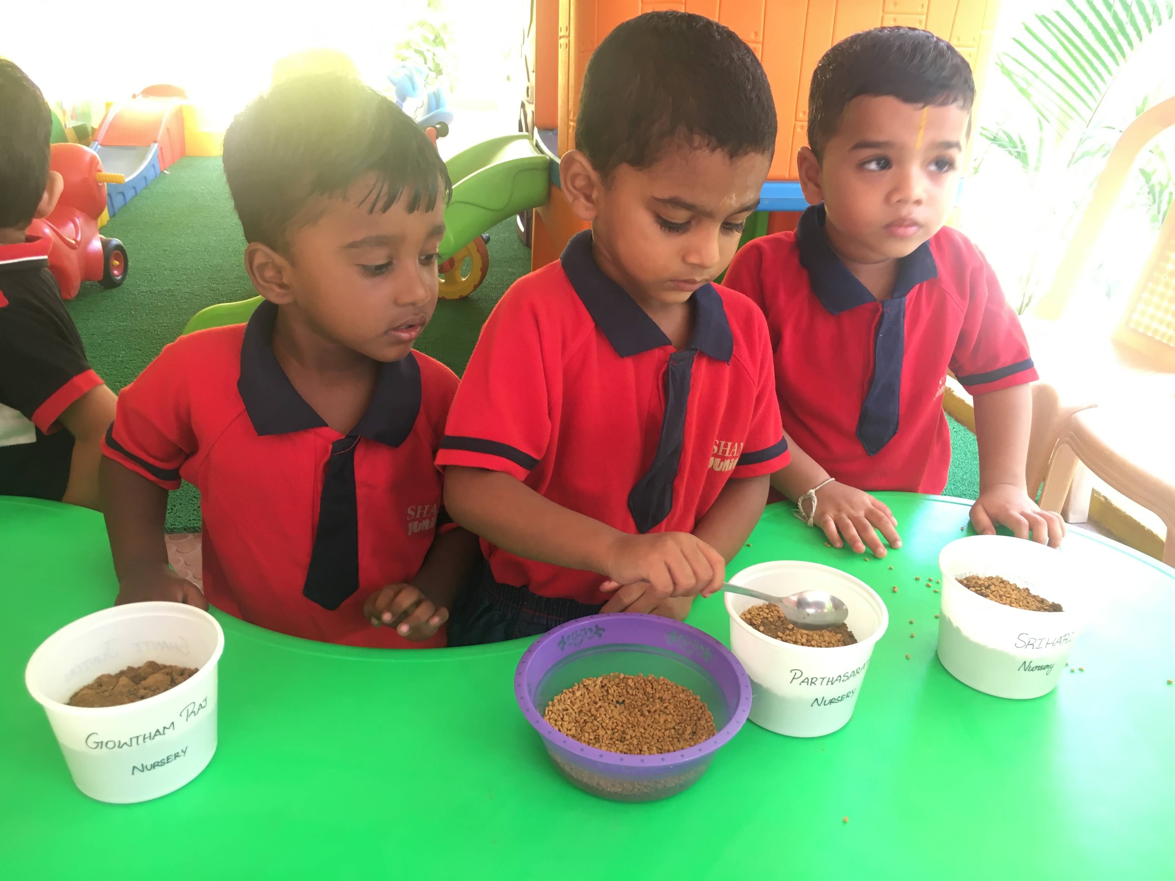 shanti juniors pre school gallery14