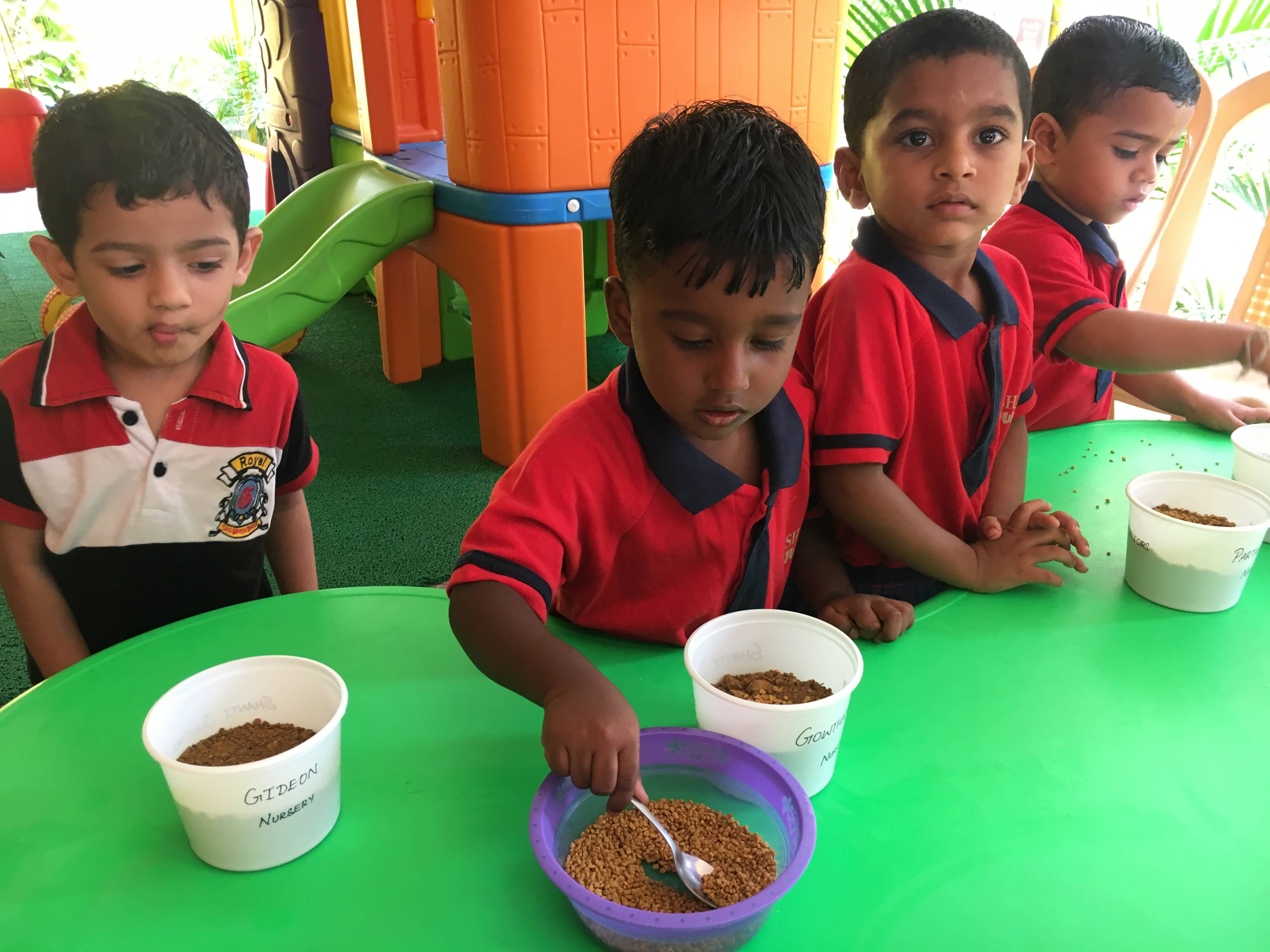 shanti juniors pre school gallery13