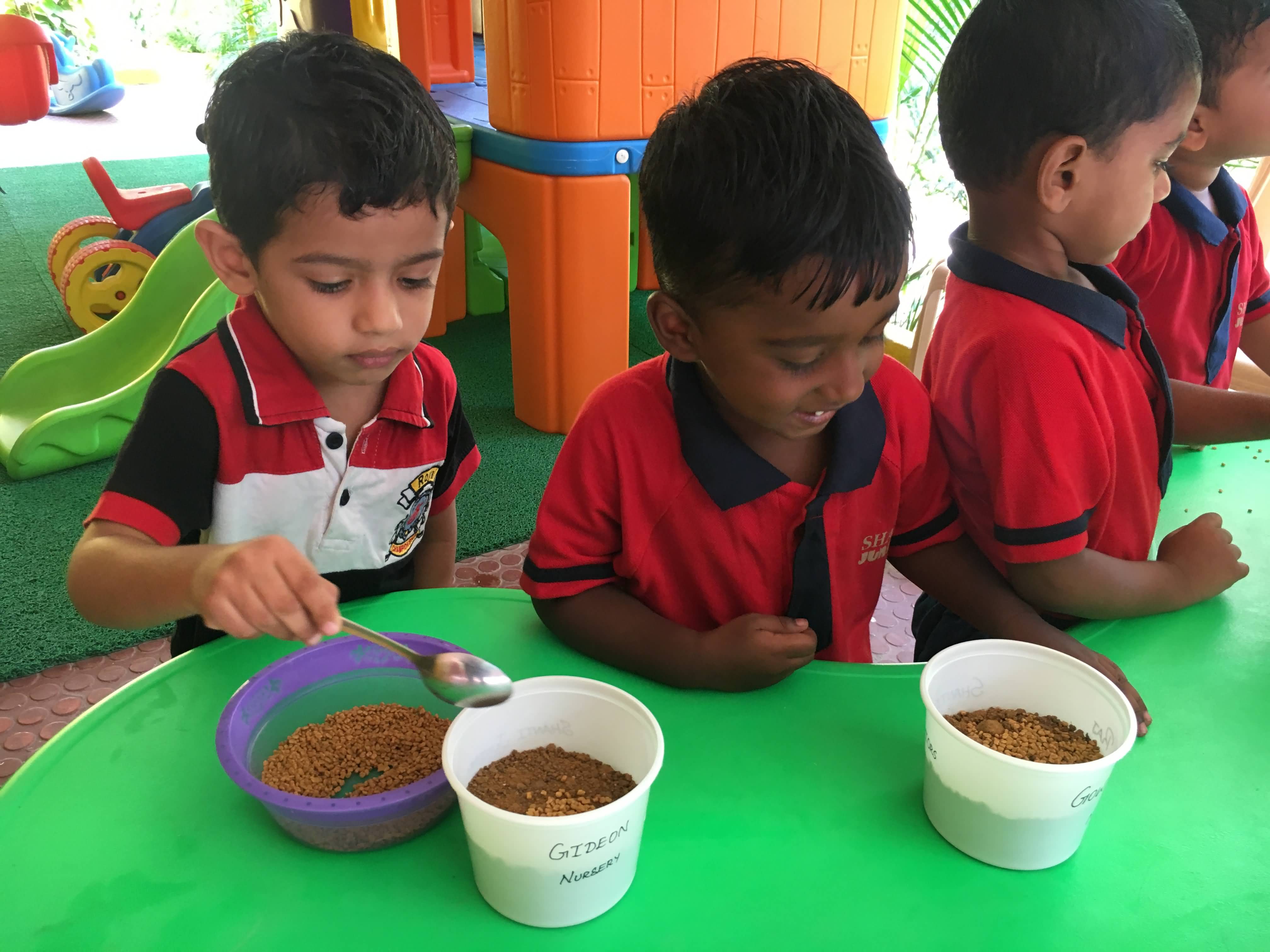 shanti juniors pre school gallery15