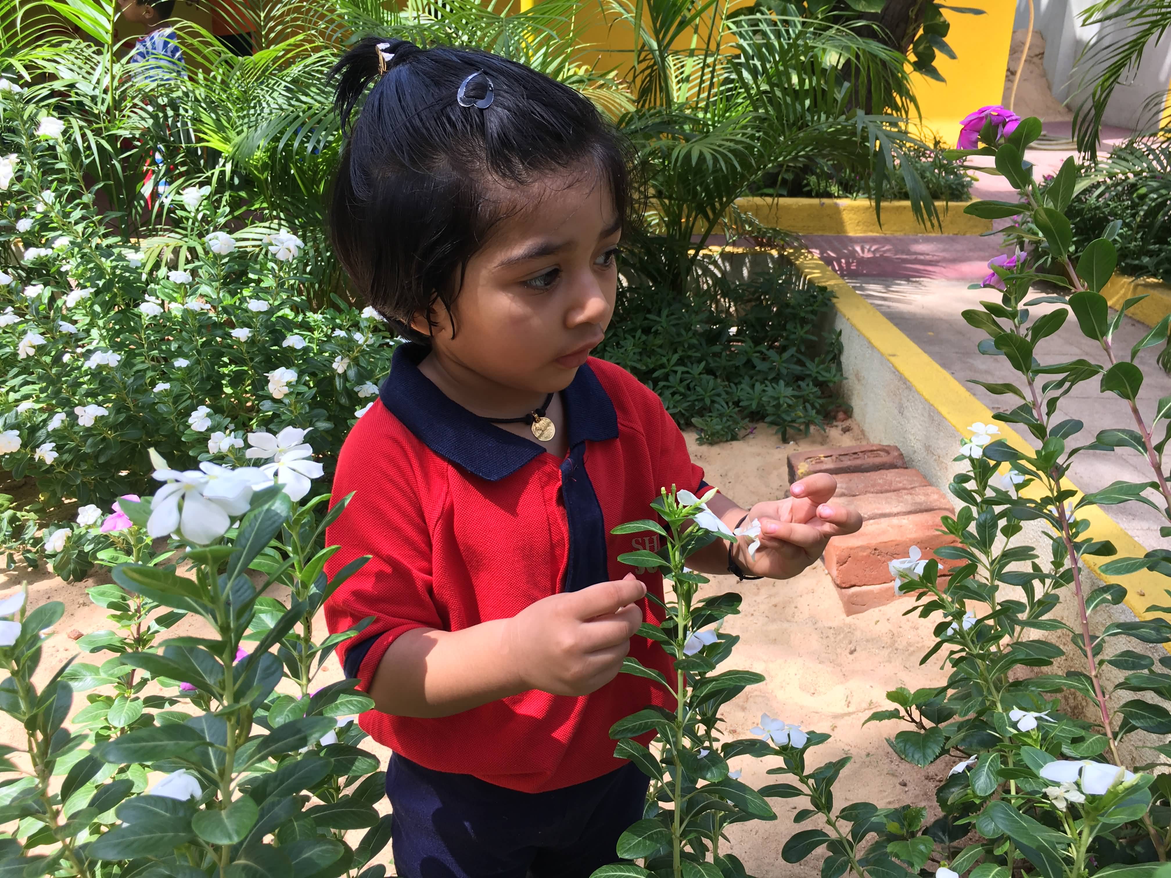 shanti juniors pre school gallery13